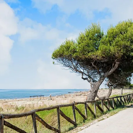 With Sea View Terrace דירה ביביונה